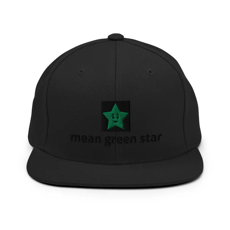 green star embroidery snapback hat 